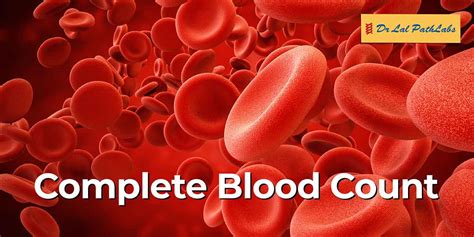 blood counting test|Complete Blood Count (CBC) Test .